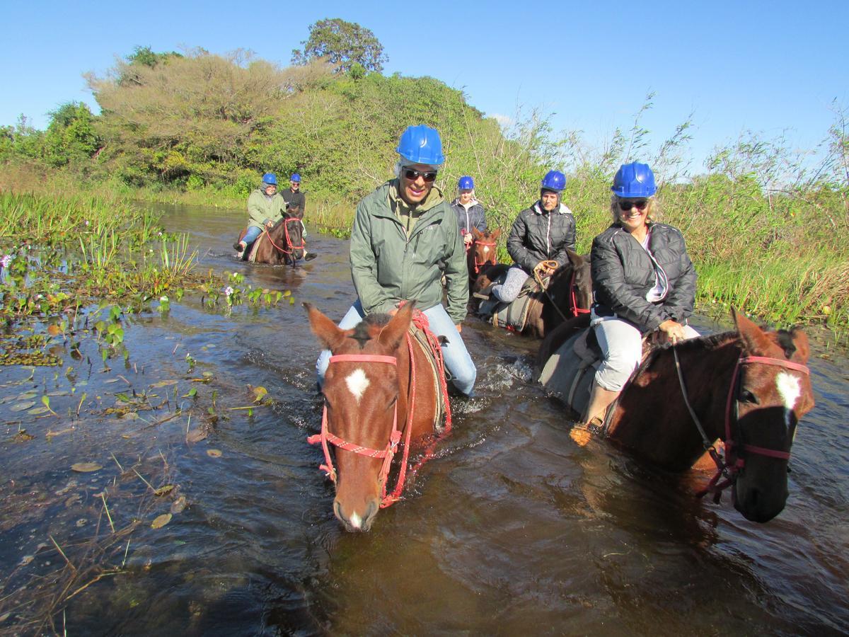 Pousada Sao Joao - Estrada Parque Pantanal Villa Passo do Lontra Exteriör bild